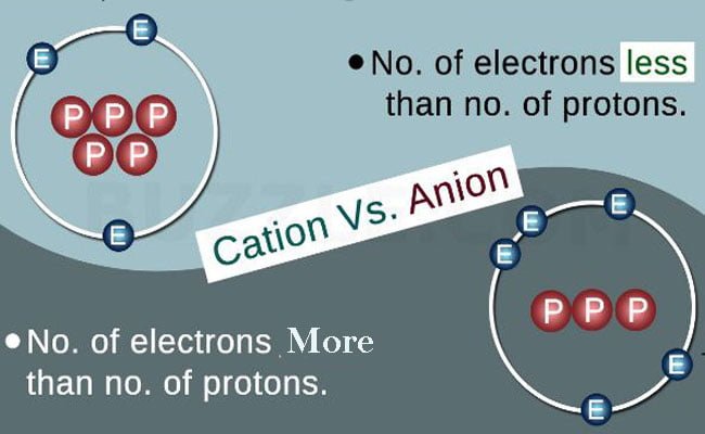 difference between cation and anion