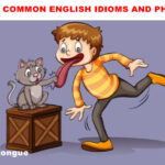 most common English idioms and phrase