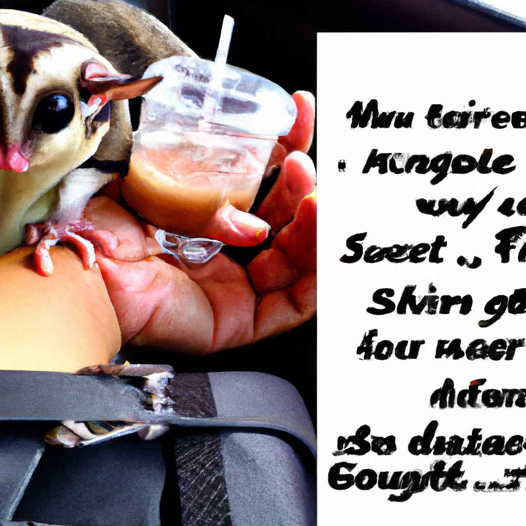 How To Travel With Sugar Gliders 2